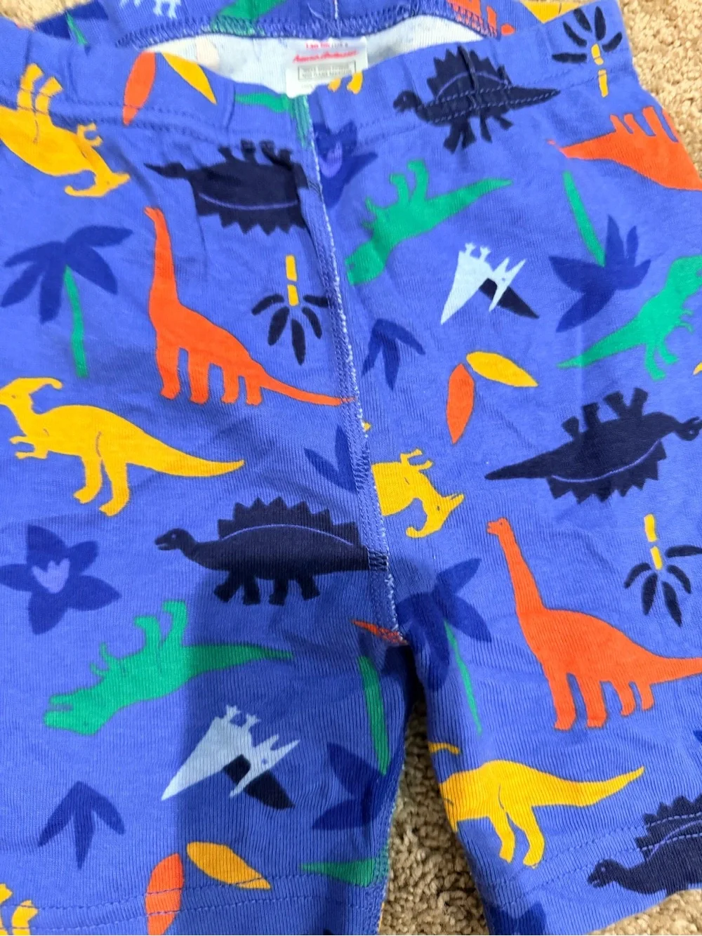 Hanna Andersson Dinosaur Pajama Set